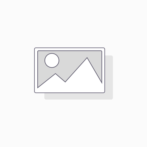Jugo de Naranja Natural (355 ml)
